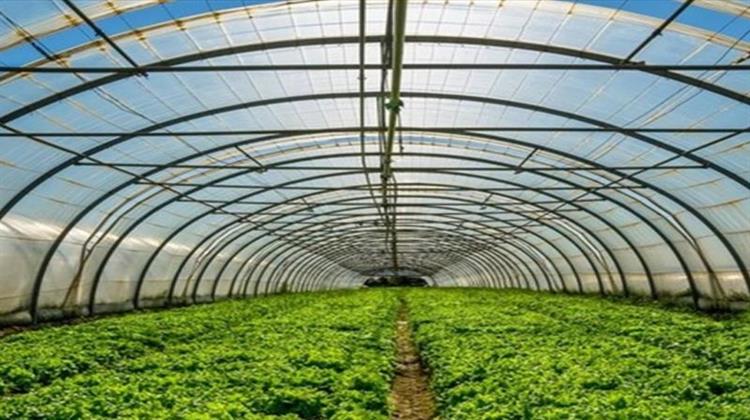 Κήποι Καρδίτσας: Θερμοκήπιο με Φυσικό Αέριο Χρησιμοποιεί τα Καυσαέρια ως Λίπασμα